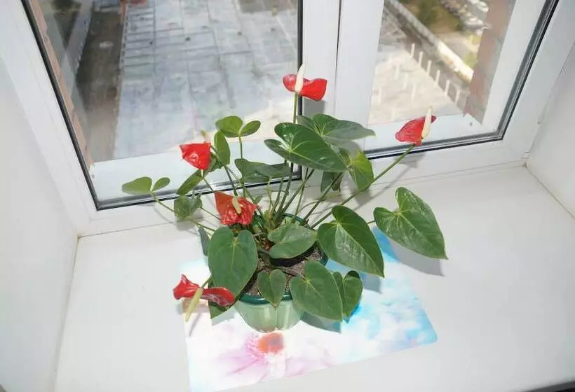 Like Hostel Tolyatti Sportivnaya