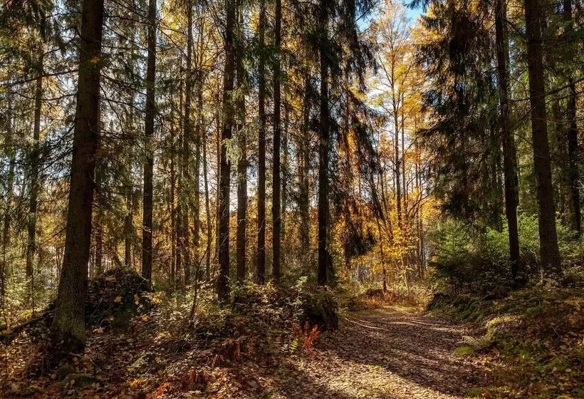Peace And Privacy Travel   Aulanko Lake Hide Out