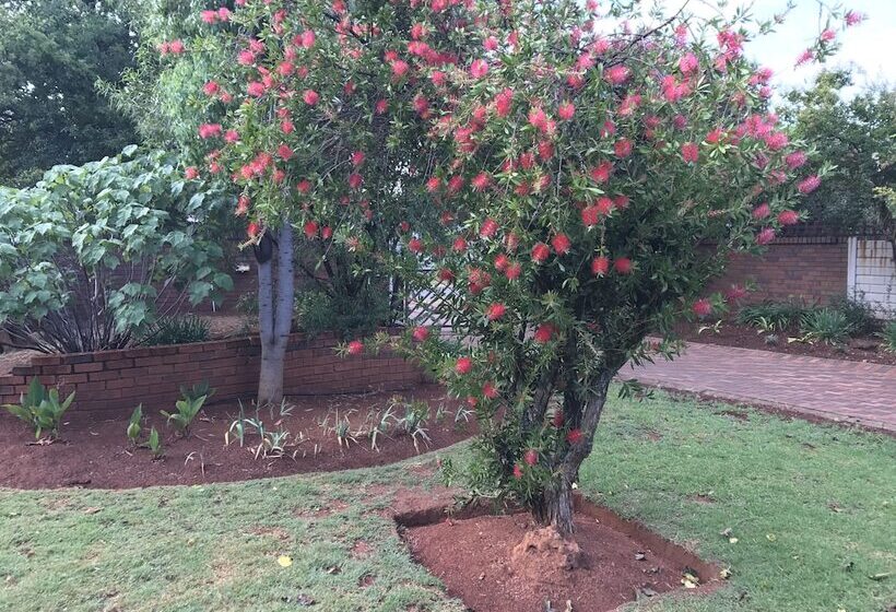 Pension Emmy Guesthouse