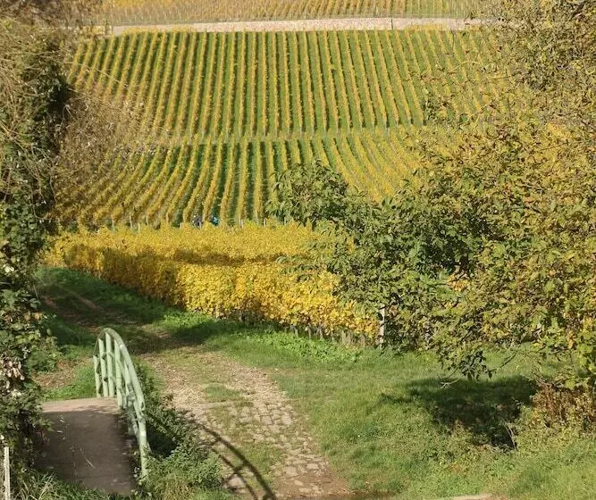 Majatalo Gästehaus Strieth