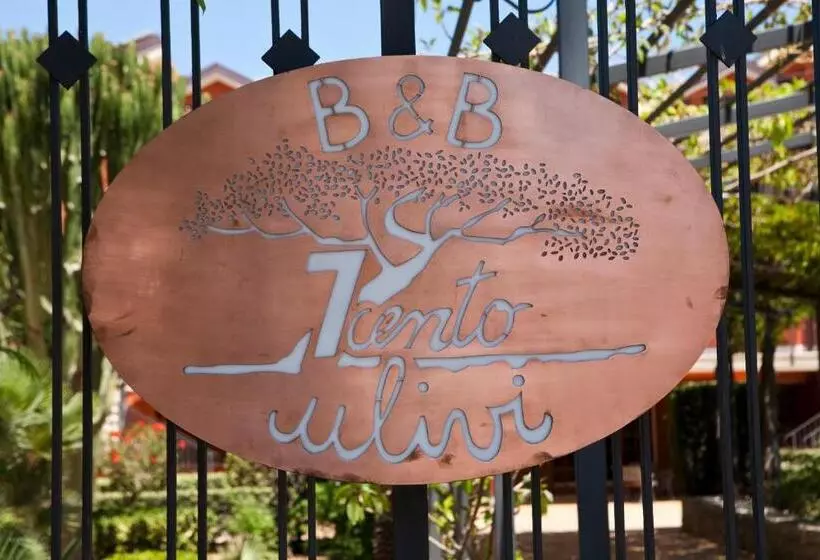 B&b 7cento Ulivi