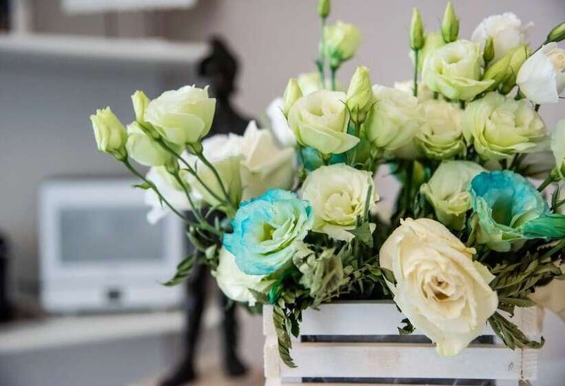 住宿加早餐  Residenza Elisa