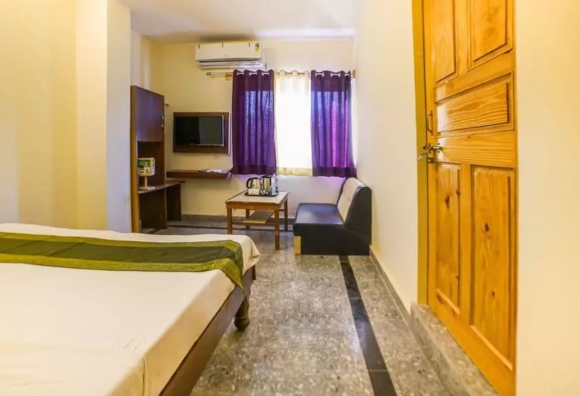 ホテル Treebo R S Palace Pushkar