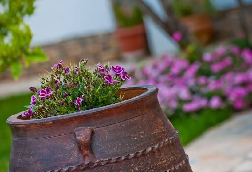 Kamares House Apartments & Studios