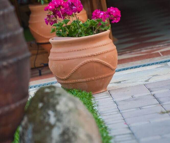 Kamares House Apartments & Studios