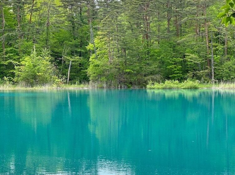 Nature Cottage Akabeko