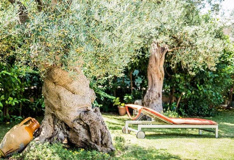 Bed and Breakfast Astra