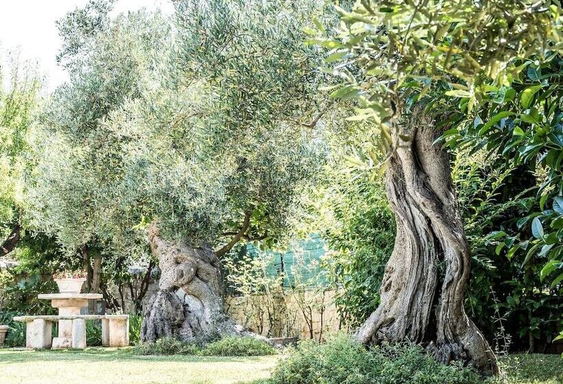 Bed and Breakfast Astra