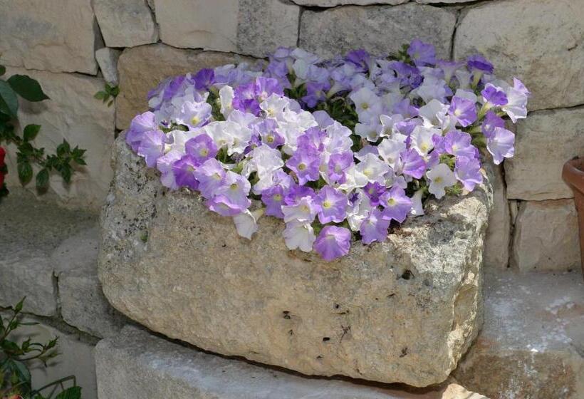 Bed and Breakfast Astra