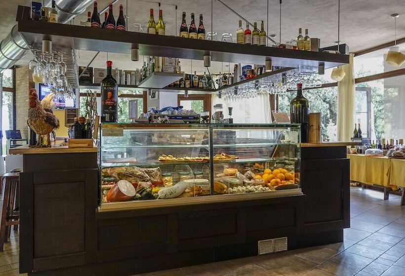 酒店 Camping Il Boschetto Di Piemma