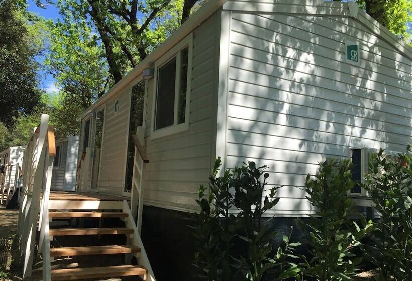 酒店 Camping Il Boschetto Di Piemma