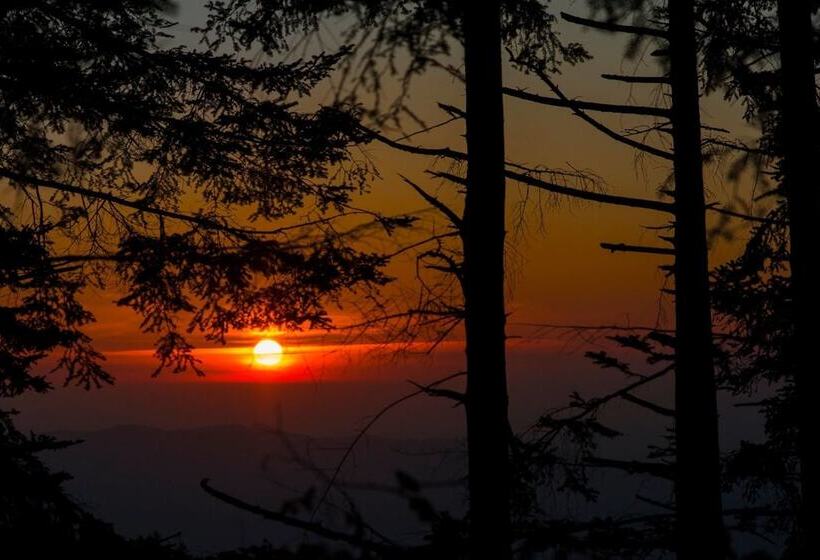 Сельский отель Agriturismo La Pieve