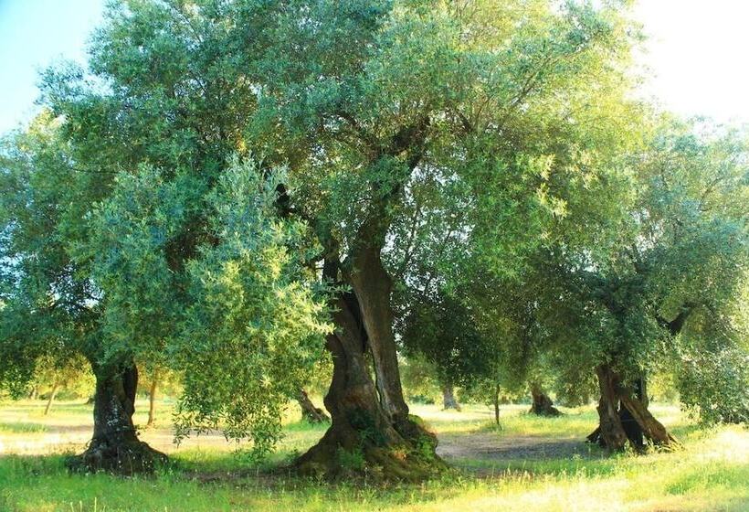 Vidéki Szálló Agriturismo Masseria Saittole