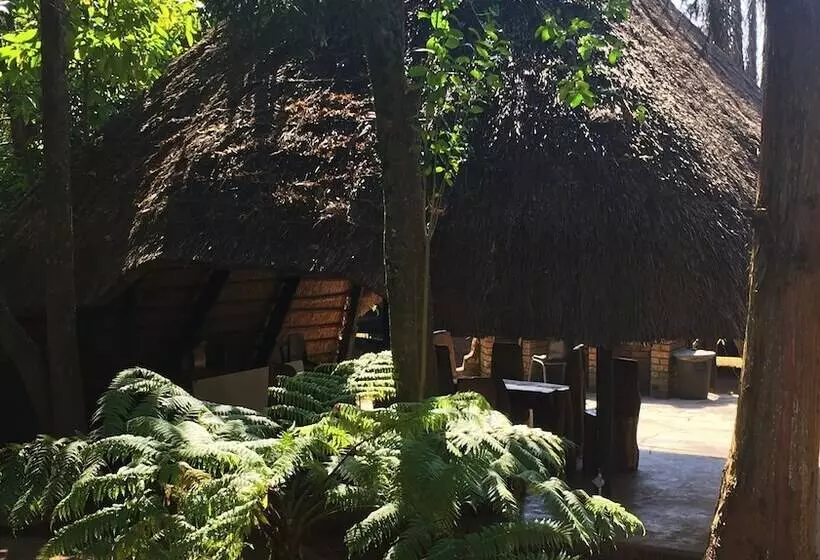 ホテル Summit Lodge Graskop