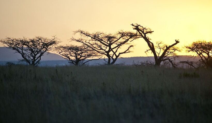 Пансион Fugitives Drift Lodge