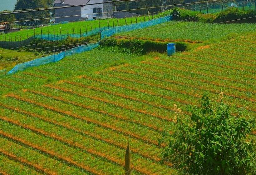 بنسيون Hill Paradise