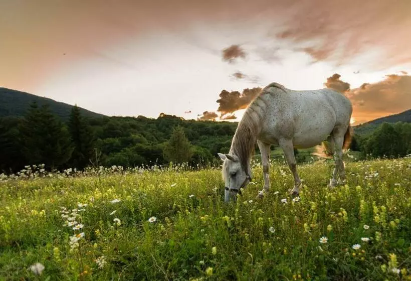 Ranch Jelov Klanac