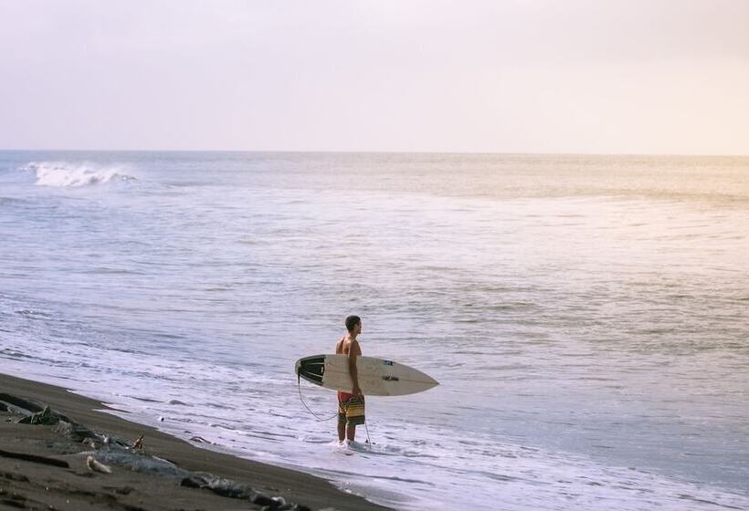 مبيت وإفطار The Secret Spot Villas