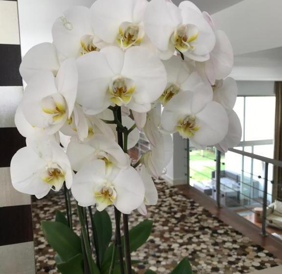 تختخواب و صبحانه Cascais Casa Laranja