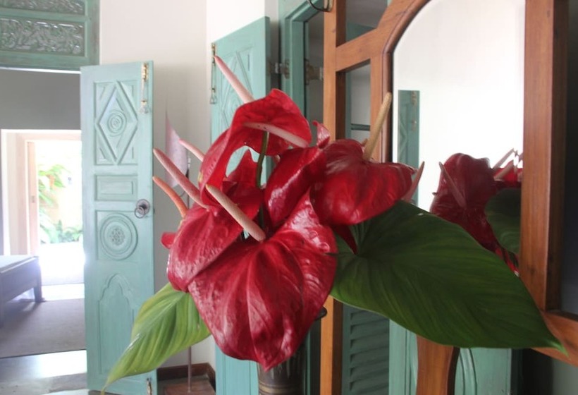 ホテル Cantaloupe House Ahangama