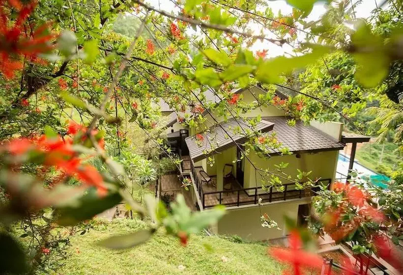 ホテル Huluganga Ridge, Kandy