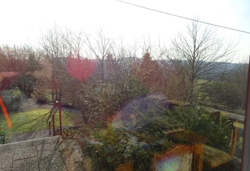 호텔 Pension Schlossgarten