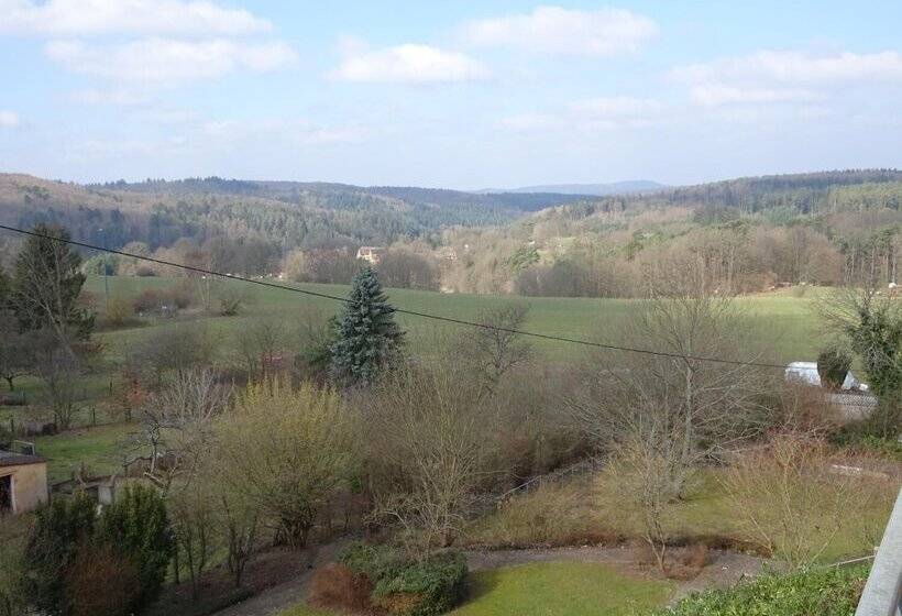 호텔 Pension Schlossgarten