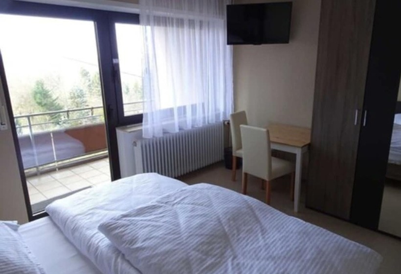 호텔 Pension Schlossgarten