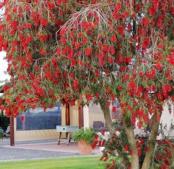 فندق ريفى Agriturismo Bocci