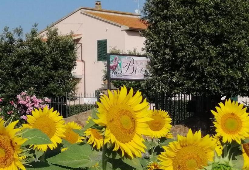 فندق ريفى Agriturismo Bocci