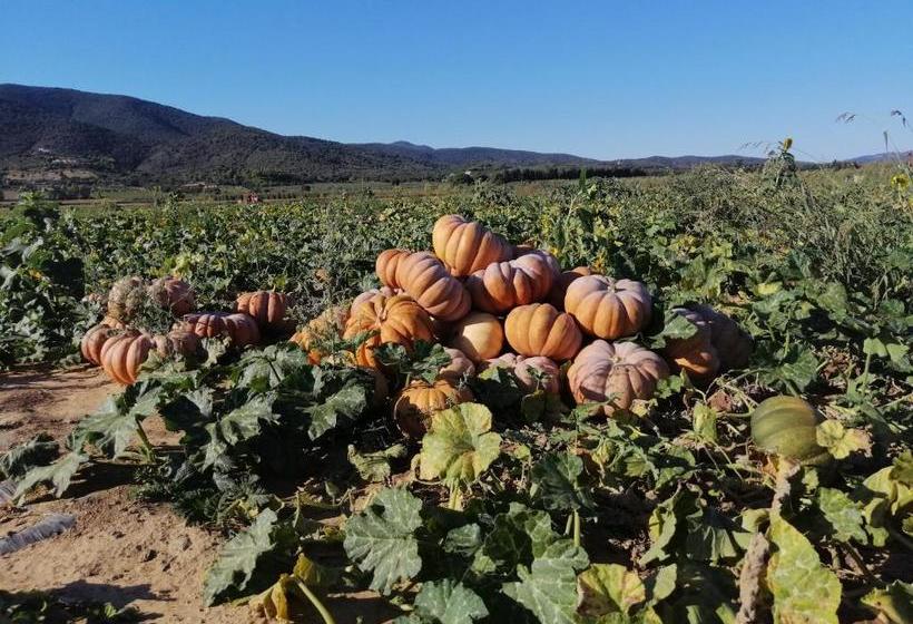 فندق ريفى Agriturismo Bocci