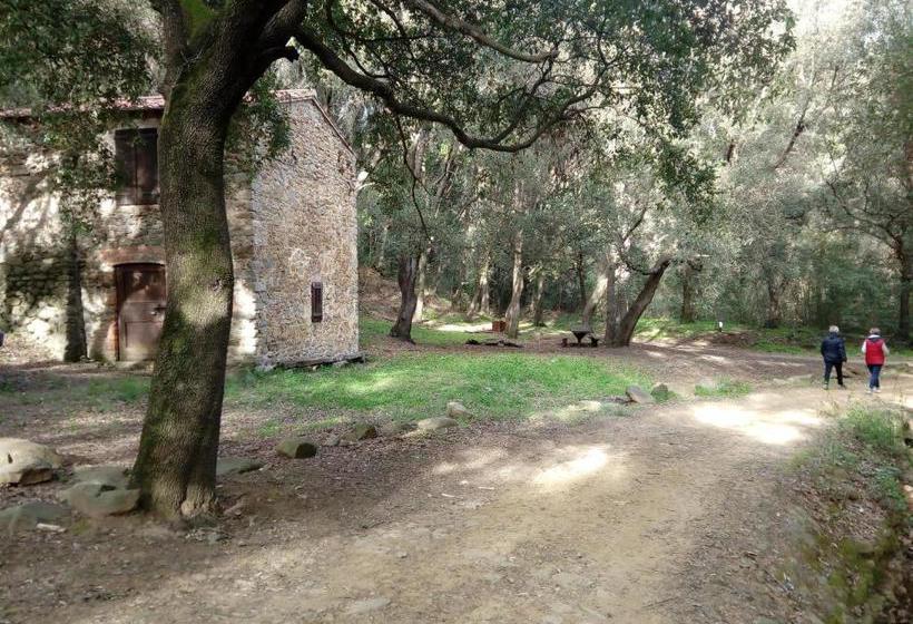 فندق ريفى Agriturismo Bocci