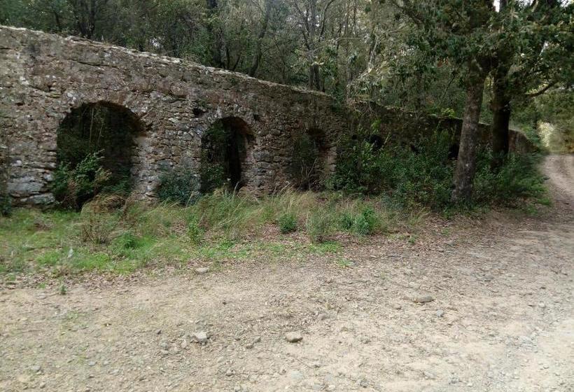 فندق ريفى Agriturismo Bocci