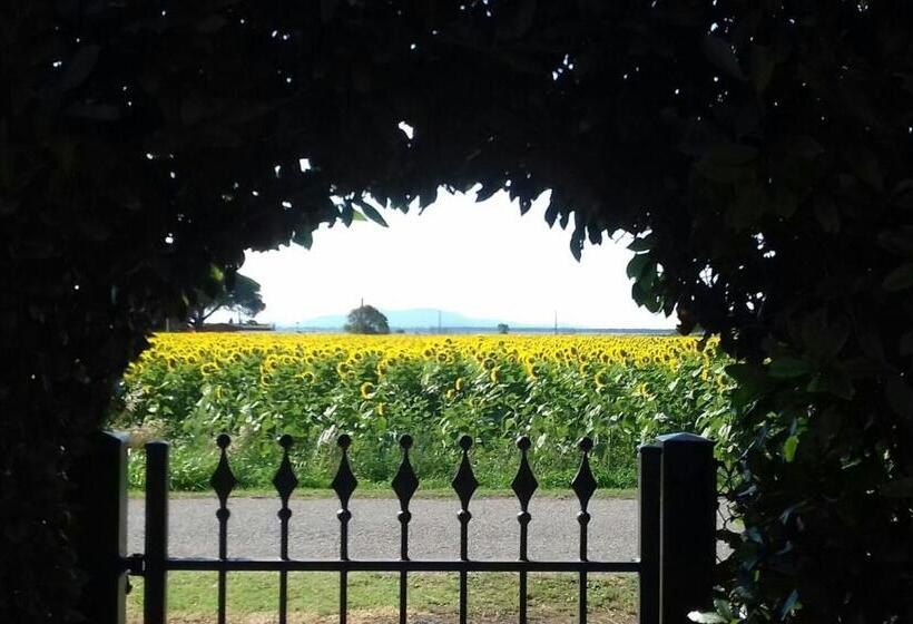 فندق ريفى Agriturismo Bocci