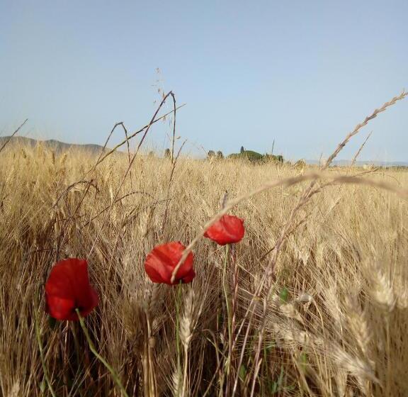 فندق ريفى Agriturismo Bocci