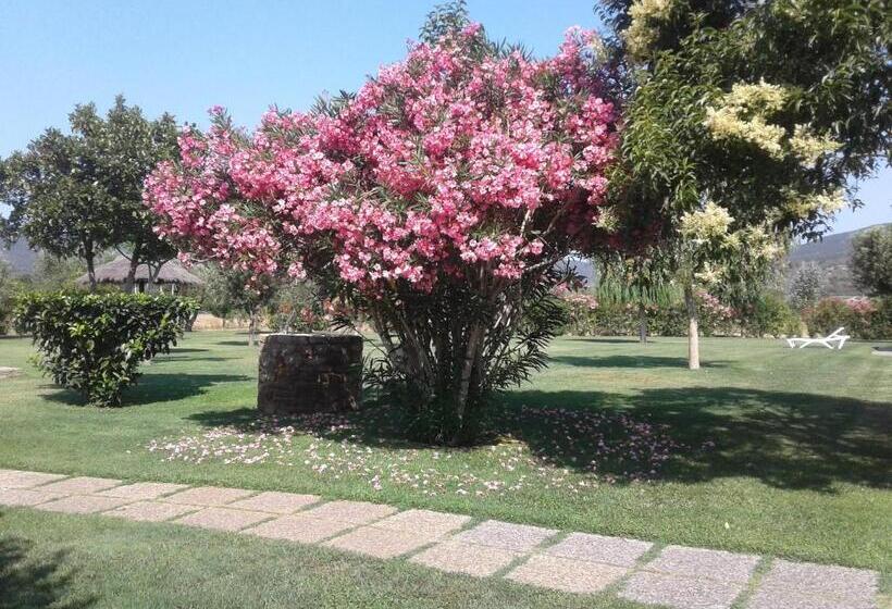 فندق ريفى Agriturismo Bocci