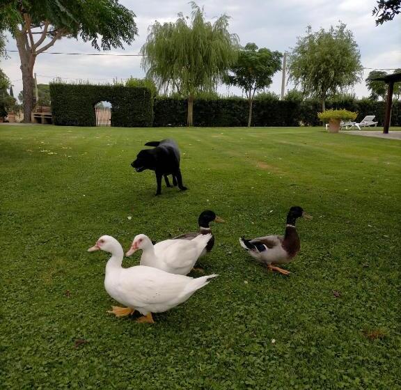 فندق ريفى Agriturismo Bocci