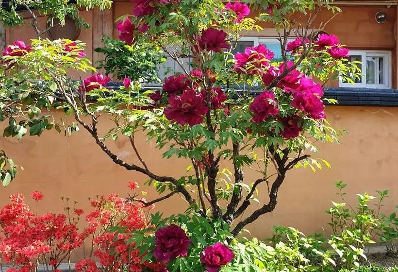 Majatalo Hanok Hyeyum