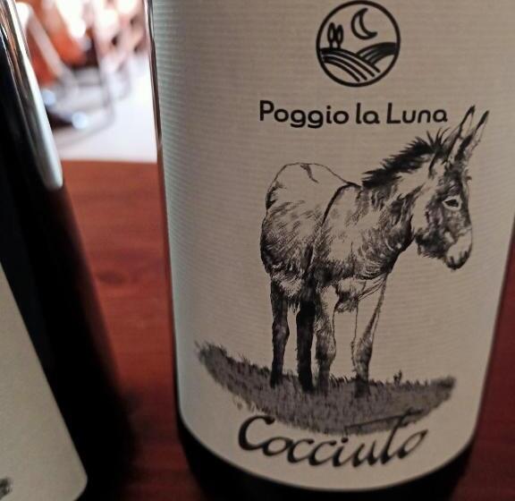 Agriturismo La Locandiera