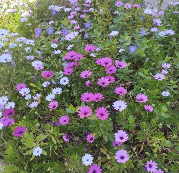 Agriturismo La Locandiera