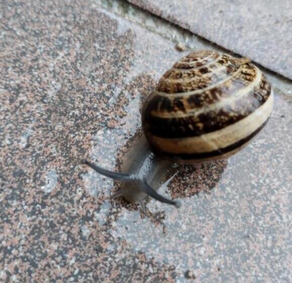 Agriturismo La Locandiera