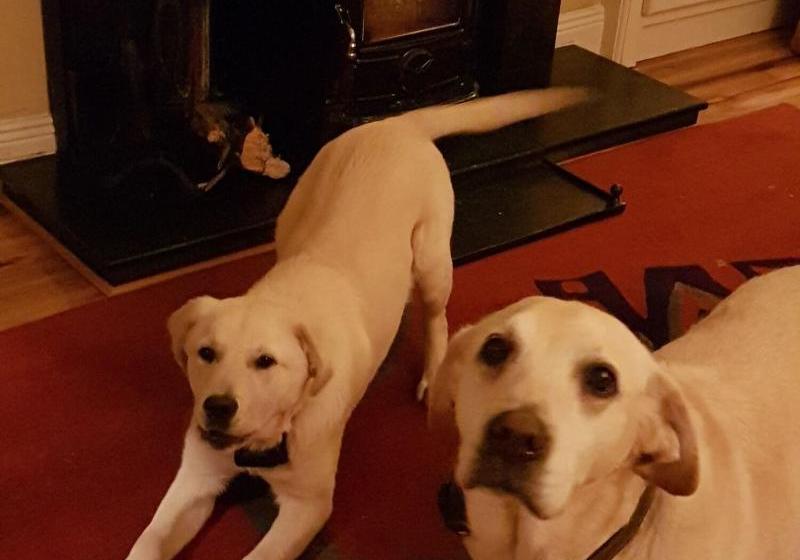 Brookvale Bed & Breakfast