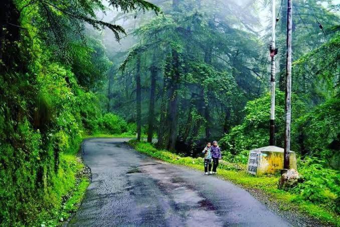 בית מלון כפרי Oakwood Chail