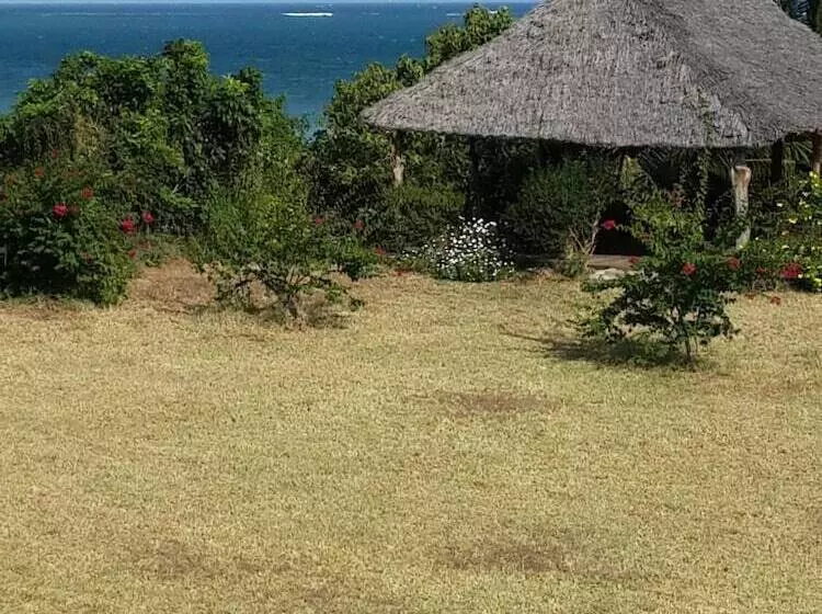 Shamba La Salama