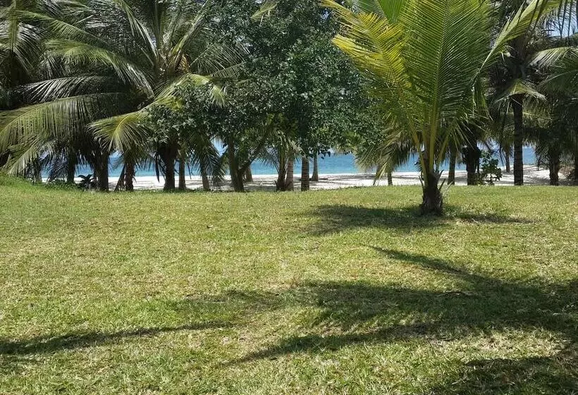 Shamba La Salama