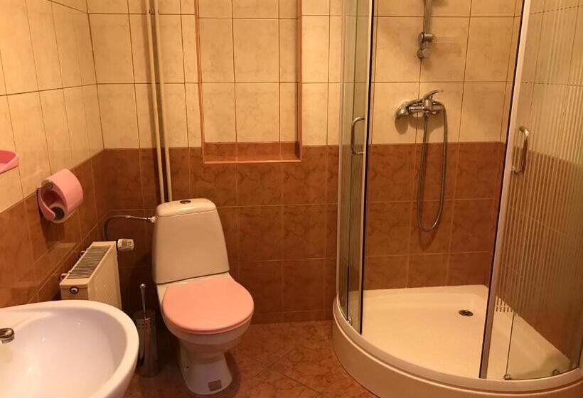 تختخواب و صبحانه Pokoje Gościnne Pod Ciupagą