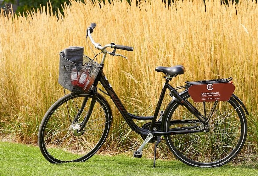 فندق Charlottehaven