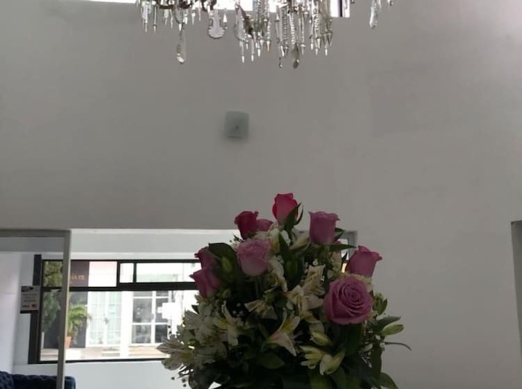 فندق Plaza Amalia