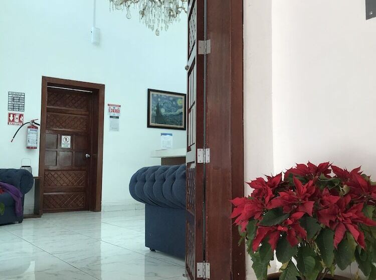 فندق Plaza Amalia