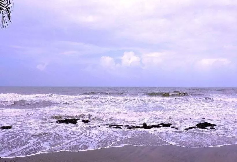 ホテル Room Maangta 332   Beach Goa